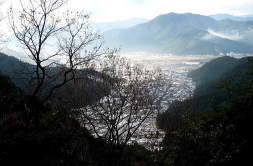 IMG_5524.JPG