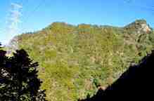 IMG_7667.JPG