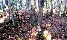 IMG_9731.JPG