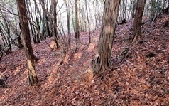 IMG_9795.JPG