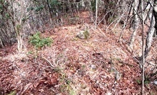 IMG_9790.JPG