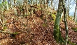 IMG_0072.JPG