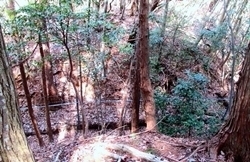 IMG_0093.JPG