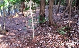 IMG_0120.JPG