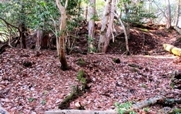 IMG_0152.JPG