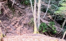IMG_0161.JPG