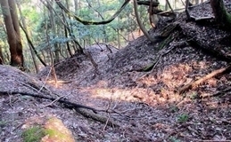 IMG_0167.JPG