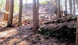 IMG_0181.JPG
