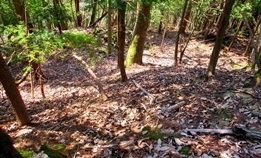 IMG_0186.JPG