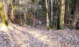 IMG_0218.JPG
