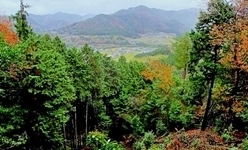 IMG_0795.JPG