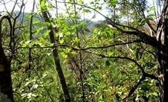 IMG_0868.JPG
