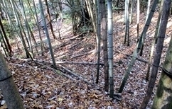 IMG_0872.JPG