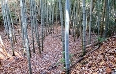 IMG_0873.JPG