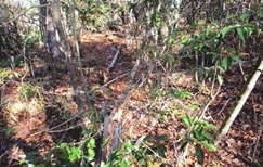 IMG_0876.JPG