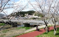 IMG_1486.JPG