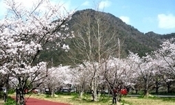 IMG_1490.JPG