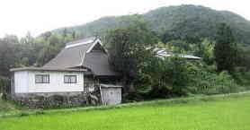 IMG_Ts81442.jpg